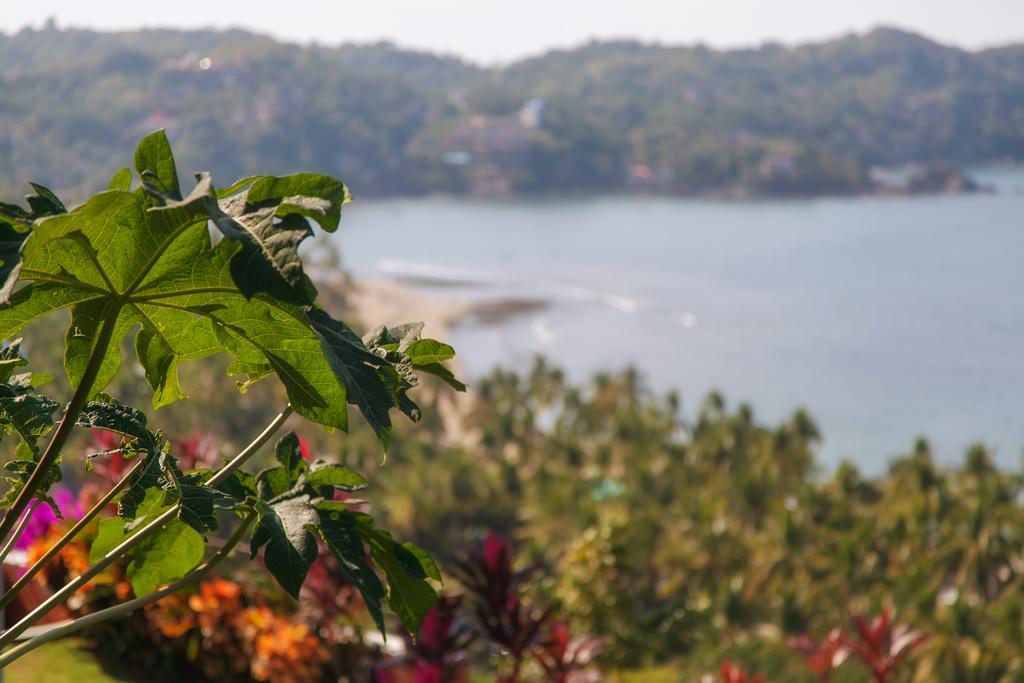 Casa Los Arcos Hotel Sayulita Zewnętrze zdjęcie