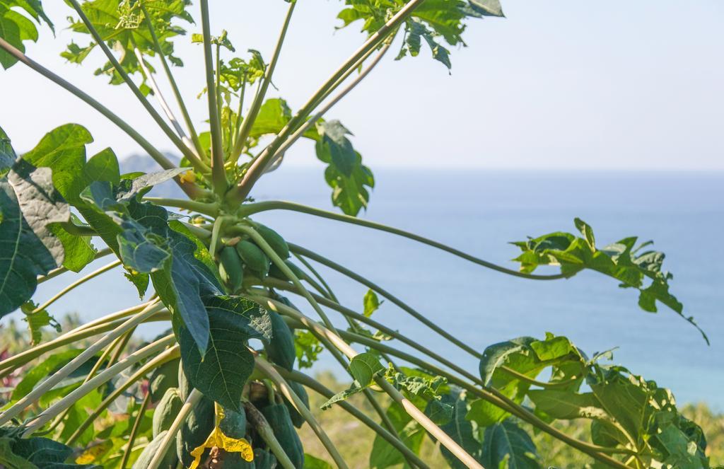 Casa Los Arcos Hotel Sayulita Zewnętrze zdjęcie